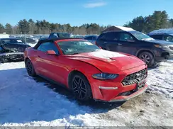 1FATP8UHXK5151172 2019 FORD MUSTANG