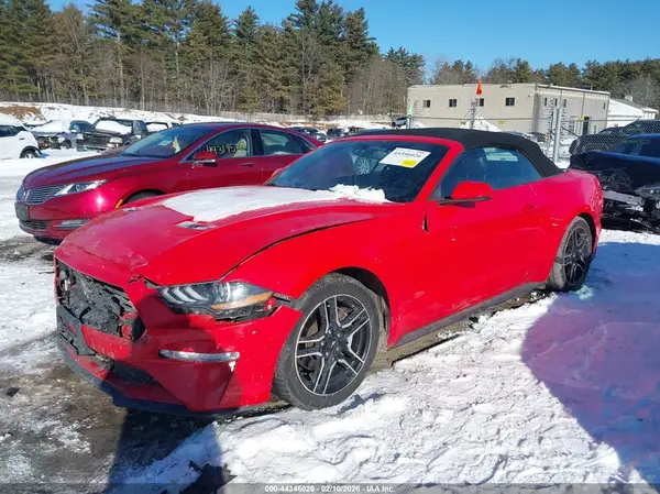 1FATP8UHXK5151172 2019 FORD MUSTANG - Image 2