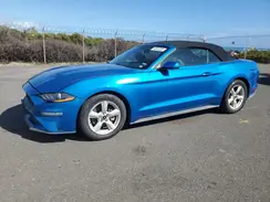1FATP8UHXK5158798 2019 FORD MUSTANG