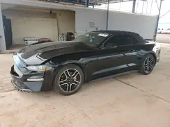 1FATP8UHXK5169994 2019 FORD MUSTANG