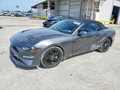 1FATP8UHXK5170059 2019 FORD MUSTANG
