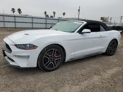 1FATP8UHXK5171051 2019 FORD MUSTANG
