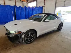 1FATP8UHXK5171194 2019 FORD MUSTANG