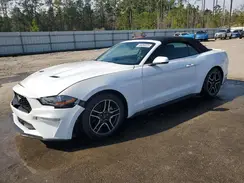 1FATP8UHXK5171227 2019 FORD MUSTANG