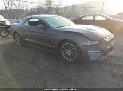 1FATP8UHXK5171390 2019 FORD MUSTANG