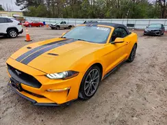 1FATP8UHXK5178761 2019 FORD MUSTANG
