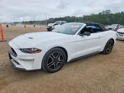 1FATP8UHXK5181689 2019 FORD MUSTANG