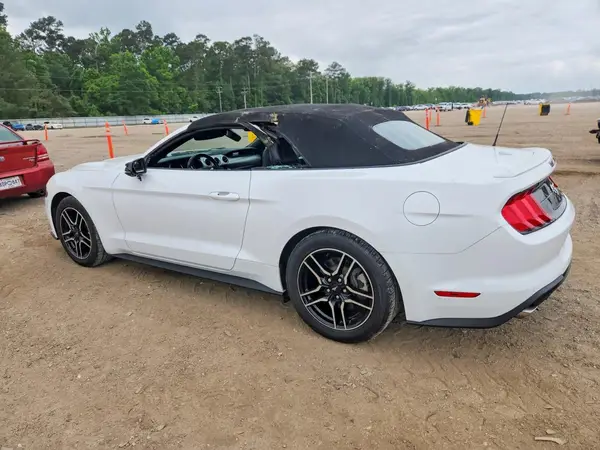 1FATP8UHXK5181689 2019 FORD MUSTANG - Image 2