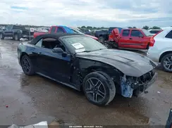 1FATP8UHXK5182003 2019 FORD MUSTANG