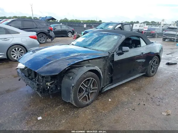 1FATP8UHXK5182003 2019 FORD MUSTANG - Image 2
