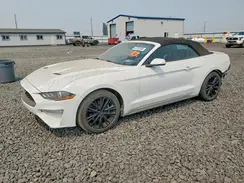 1FATP8UHXK5182048 2019 FORD MUSTANG