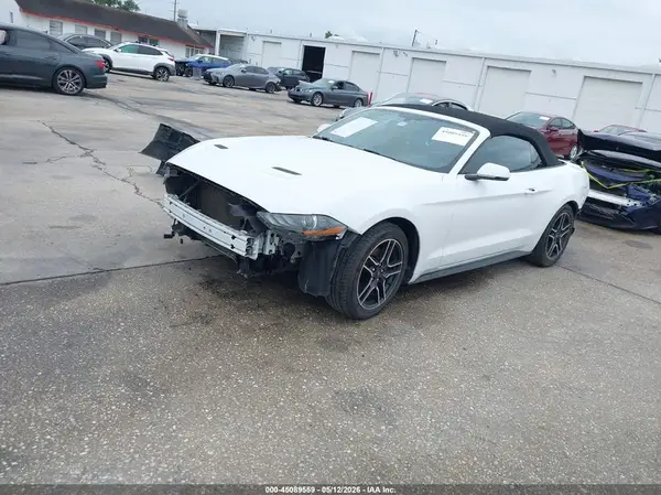 1FATP8UHXK5187511 2019 FORD MUSTANG - Image 2