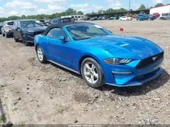 1FATP8UHXK5192210 2019 FORD MUSTANG