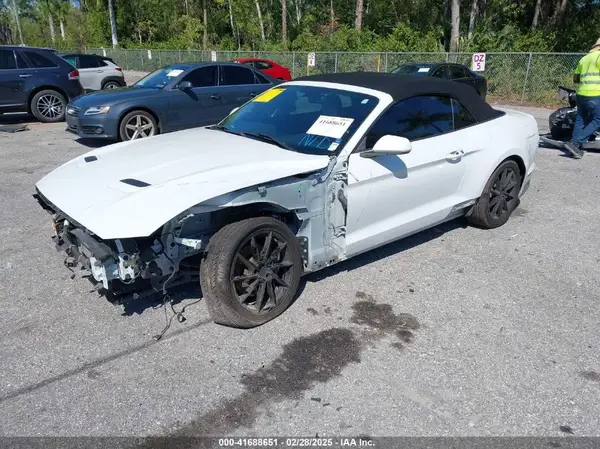 1FATP8UHXK5205196 2019 FORD MUSTANG - Image 2