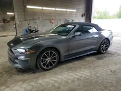 1FATP8UHXL5113443 2020 FORD MUSTANG