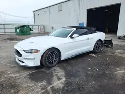1FATP8UHXL5125530 2020 FORD MUSTANG