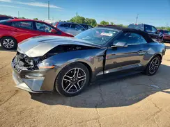 1FATP8UHXL5135748 2020 FORD MUSTANG