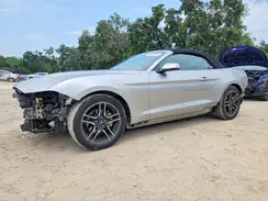 1FATP8UHXL5148029 2020 FORD MUSTANG