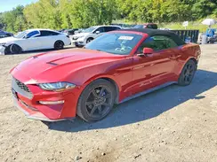 1FATP8UHXL5174615 2020 FORD MUSTANG