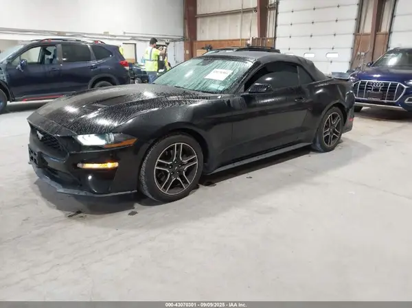 1FATP8UHXM5104291 2021 FORD MUSTANG - Image 2