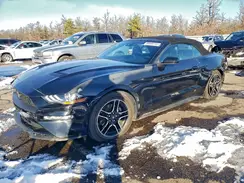 1FATP8UHXM5107322 2021 FORD MUSTANG