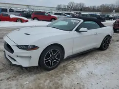 1FATP8UHXM5116781 2021 FORD MUSTANG