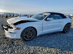 1FATP8UHXN5105281 2022 FORD MUSTANG