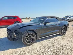 1FATP8UHXN5124297 2022 FORD MUSTANG