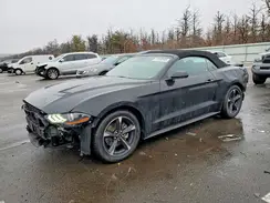1FATP8UHXN5136689 2022 FORD MUSTANG