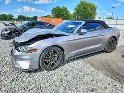 1FATP8UHXP5103968 2023 FORD MUSTANG