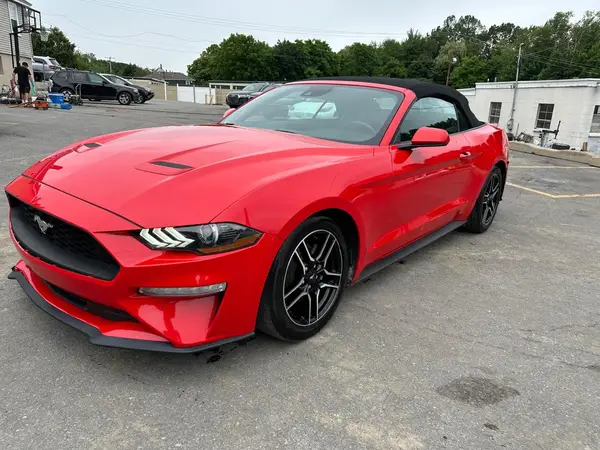 1FATP8UHXP5104926 2023 FORD MUSTANG - Image 1