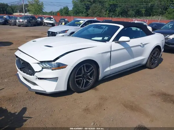 1FATP8UHXP5105526 2023 FORD MUSTANG - Image 2