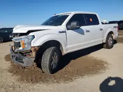 1FCEW1E52KKE91452 2019 FORD F-150