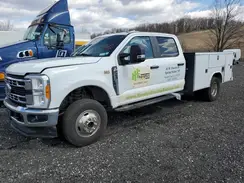 1FD8W3HT6PEC78203 2023 FORD F350