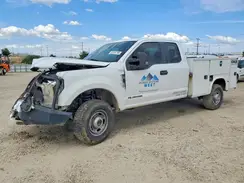 1FD8X3BT7KEG06906 2019 FORD F350