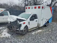 1FDRF3GT8KED55281 2019 FORD F350