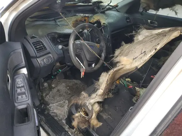 1FM5K8AR0GGB53941 2016 FORD EXPLORER - Image 8