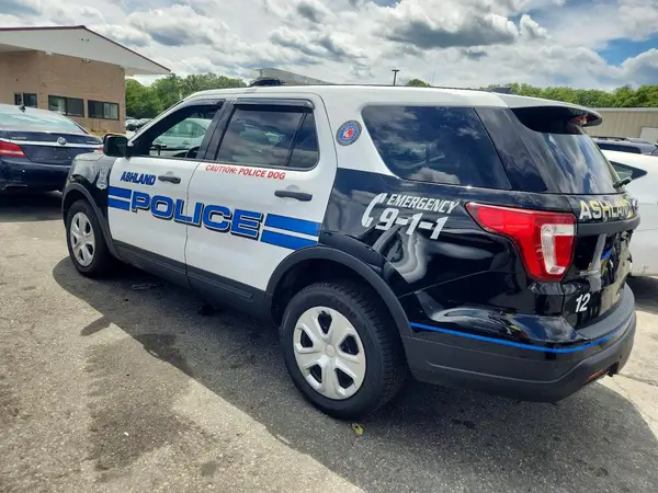 1FM5K8AR4JGC17714 2018 FORD EXPLORER - Image 2