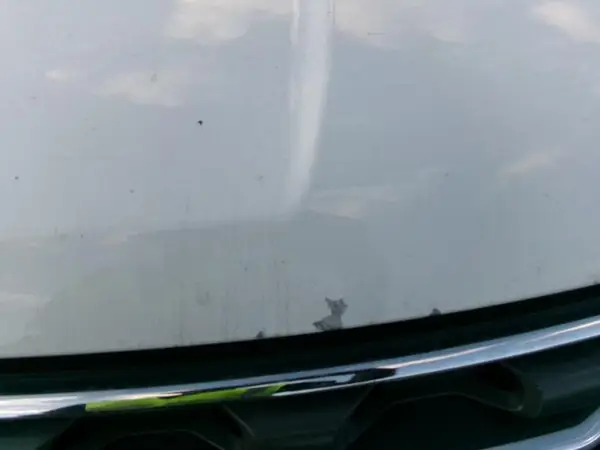 1FM5K8B84HGD36525 2017 FORD EXPLORER - Image 2