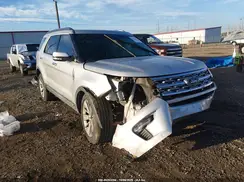 1FM5K8F84KGB12236 2019 FORD EXPLORER