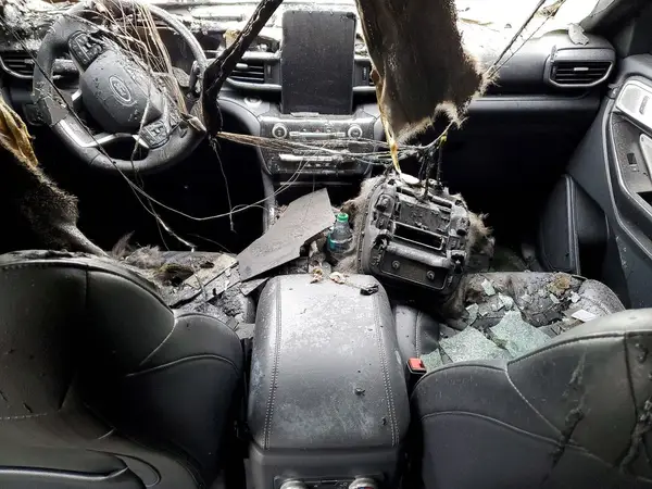 1FM5K8GCXMGB40810 2021 FORD EXPLORER - Image 8