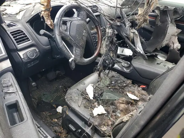 1FM5K8HT9JGB80466 2018 FORD EXPLORER - Image 8
