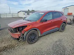 1FMCU0BZ8LUB13703 2020 FORD ESCAPE