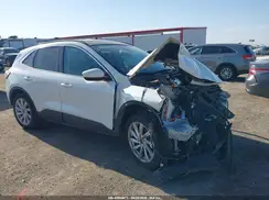 1FMCU0DZ1MUA92742 2021 FORD ESCAPE