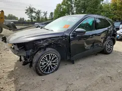 1FMCU0E10SUA47250 2025 FORD ESCAPE