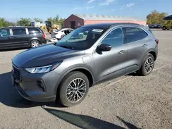 1FMCU0E13SUA12184 2025 FORD ESCAPE