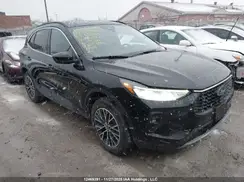 1FMCU0E16SUA90622 2025 FORD ESCAPE