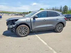1FMCU0E17SUA55264 2025 FORD ESCAPE