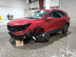 1FMCU0E19SUA78061 2025 FORD ESCAPE