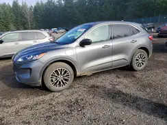 1FMCU0EZ1NUA23288 2022 FORD ESCAPE